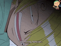 Sanji-one-piece GIFs - Get the best GIF on GIPHY