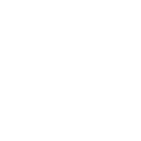 Maori Sticker by Te Reo Label