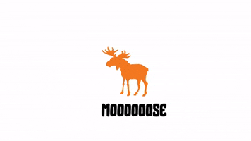 bigmoose GIF