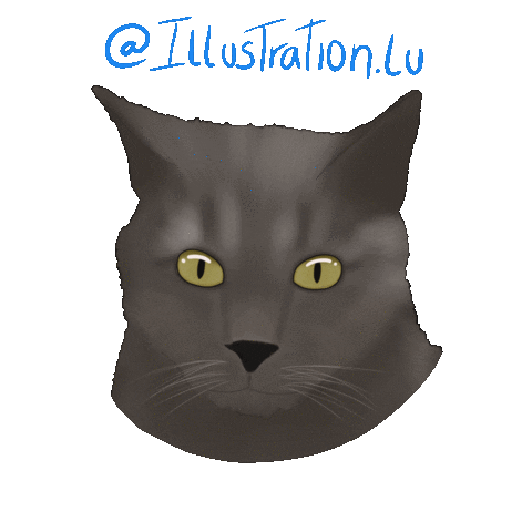 Chat Gatos Sticker