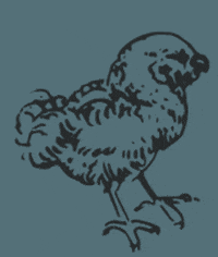 GIF by Weston Table