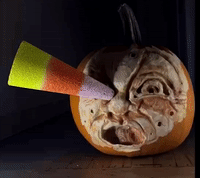 Halloween Surprise GIF - Halloween Surprise ScaryFace - Discover & Share  GIFs