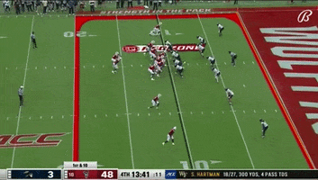 Touchdown GIF