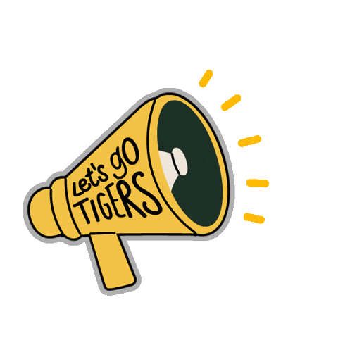 Football Baseball Sticker by Towson University