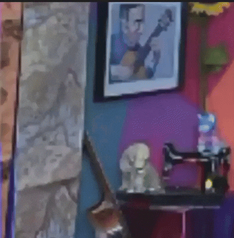 Desmayo GIF by LIBERUM