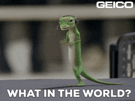 What Is This Reaction GIF by GEICO
