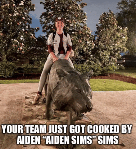 Texas Am Baseball GIF