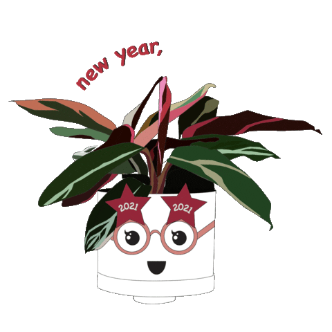 Loop Living Sticker