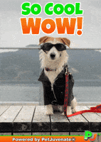 Henlo Hooman Fren GIF by PetJuvenate - PJ