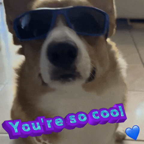 Youre So Cool GIF