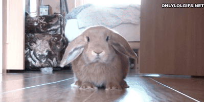 run away GIF