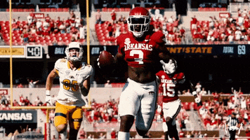 College Football Shrug GIF by Arkansas Razorbacks