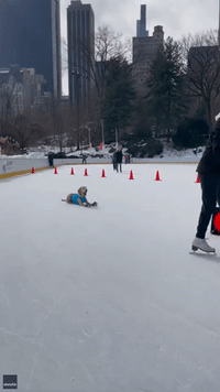 Skating Dog Impresses New Yorkers With Jump Trick