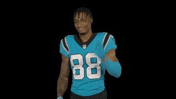 Stop It Come On GIF by Carolina Panthers