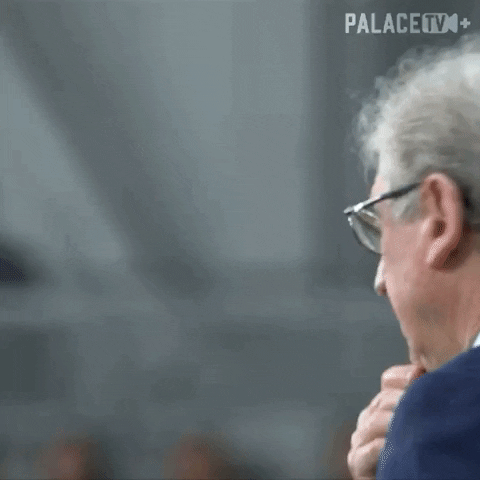 Premier League Search GIF by Crystal Palace Football Club