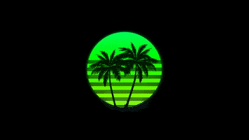 Neon Sunset GIF by vrammsthevale