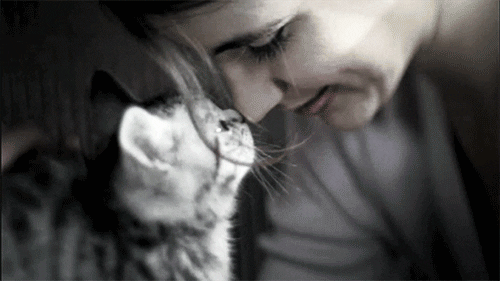 Resultado de imagem para cat and owner gif