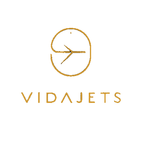 Vida Jets Sticker