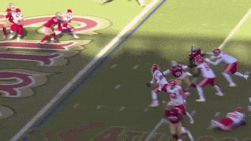 Nfl GIF