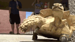 giphy-tumblr.gif?cid=6104955e5c43da77614