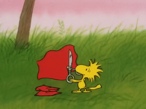 Teej Gifs Get The Best Gif On Giphy