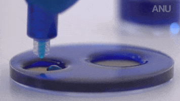 charlieclark-ff4a  GIF