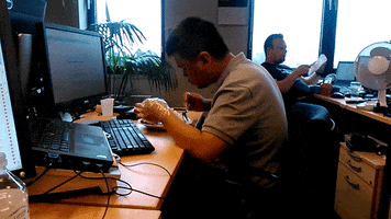 jdg agung chicken plastic GIF