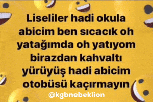 Ben Hadi GIF