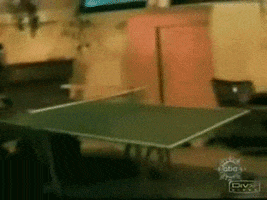 fail ping pong GIF