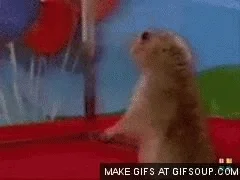 gopher GIF
