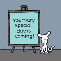 Special Day Love GIF by Chippy the Dog