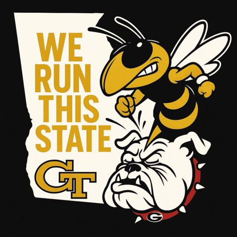 Georgia Tech Football GIF