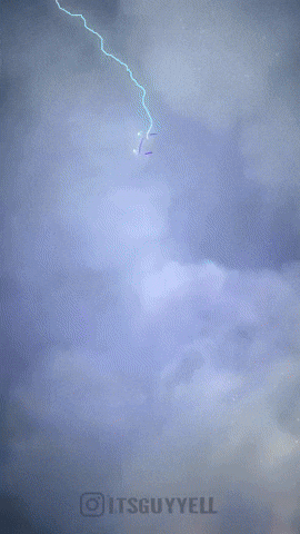 Buzz GIF