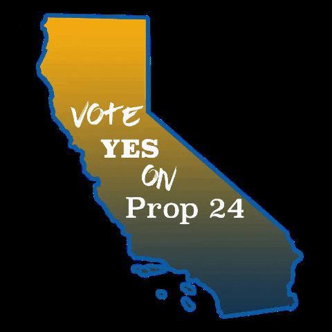 Prop24 Prop 24 Privacy Online Security Data Vote GIF by KFDConsulting