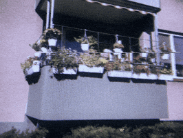 Story Balcony GIF by PunkGarden