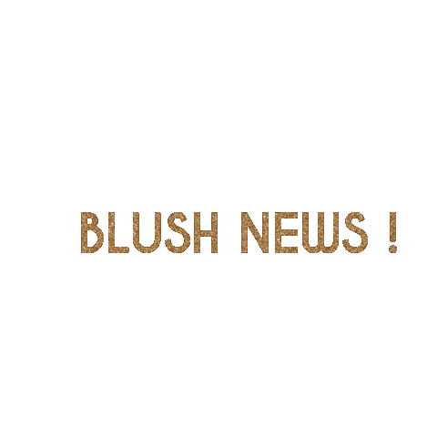 Blush News Sticker by Blush Concept Store