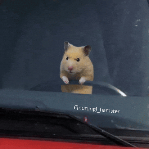 Drive Driving GIF