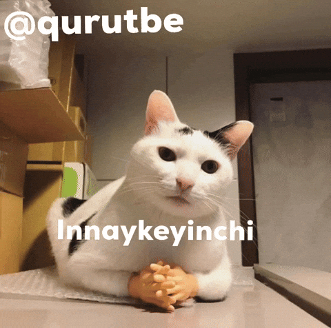 Qurutbe GIF