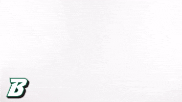 Bingbearcats GIF by Binghamton Athletics