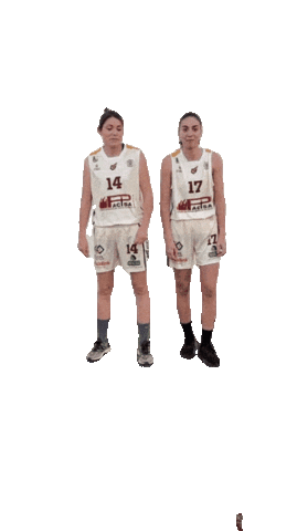 Club Baloncesto Alcobendas Sticker