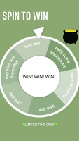 Spin To Win Wheel Of Fortune GIF by E1011 Labs