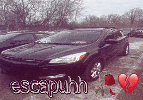 Ford Escape Fih GIF