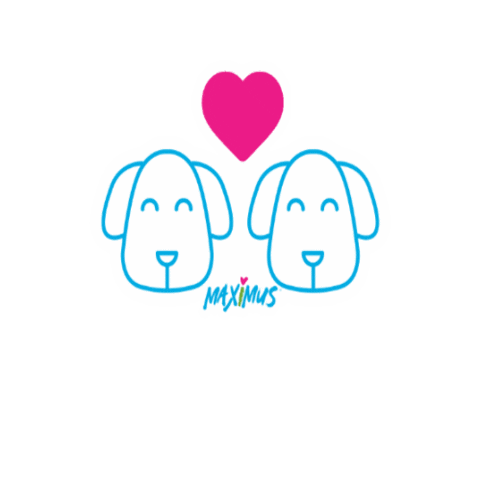 Maximus pets Sticker
