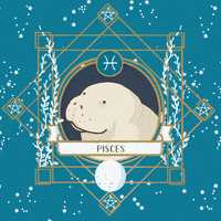 Zodiac Signs GIF by Tostoini