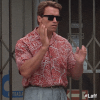 Arnold Schwarzenegger Slapping GIF by Laff
