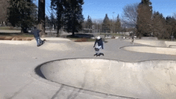 Rollerskate GIF