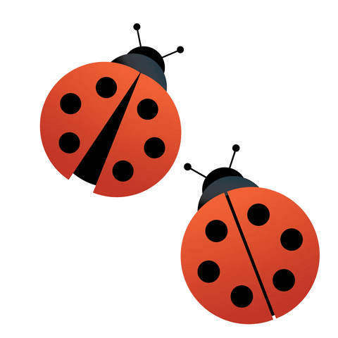 Lady Bug GIF by Foundry BC