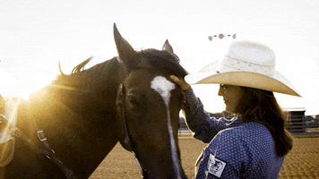 Horse Love GIF by KahmCBD