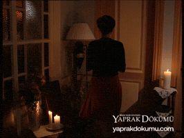 Mum Fikret GIF by Yaprak Dökümü