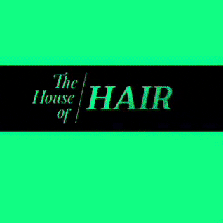 Pye GIF